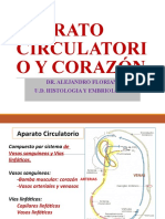 Circulatorio y Corazon