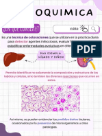 Histoquimica