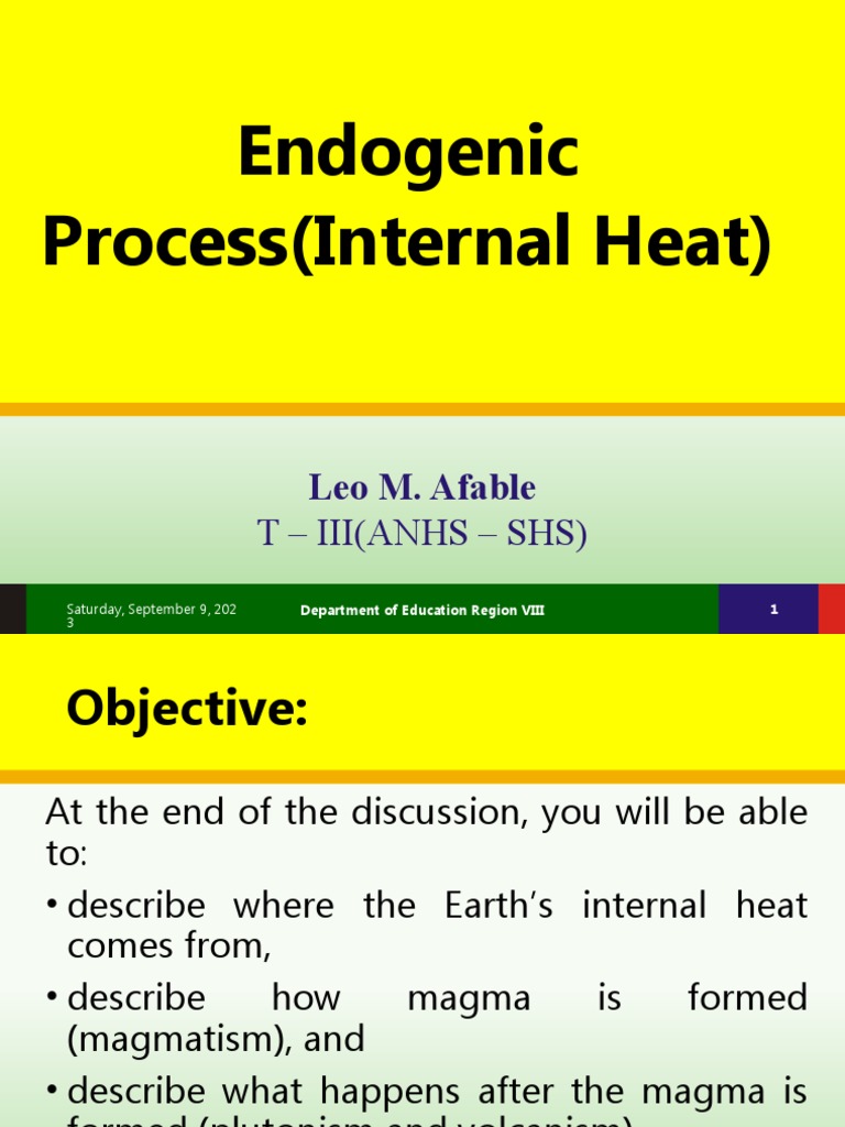 Endo Process PDF Magma Igneous Rock