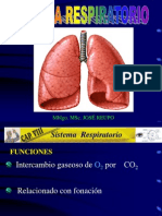 Diapositivas Sistema Respiratorio