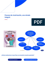 Proceso de Cicatrización J Una Mirada Integral