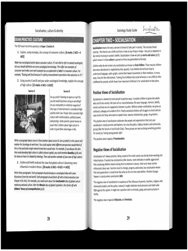 Superb NEW Resource Paper 1 Socialisation | PDF
