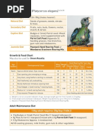 Road Runner Chicken Farming Guide | PDF | Chicken | Egg