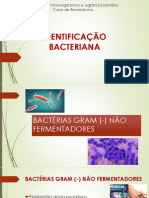Identificação Bacteriana - BGN Não Fermentadoras