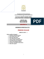 Informe SEM. 5