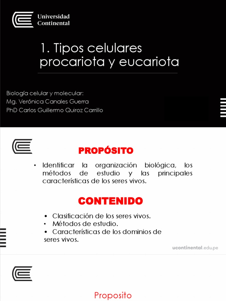 Comparativa de Células Procariotas y Eucariotas | PDF | Biología ...