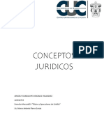Conceptos Juridicos. Aracely Gonzalez