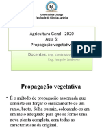 Aula 5 Agricultura Geral U.L