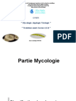 Myxomycète, oomycètes chitridiomycètes