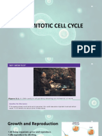 The Mitotic Cell Cycle