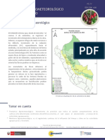 Cacao Monitoreo 3ago22 PDF