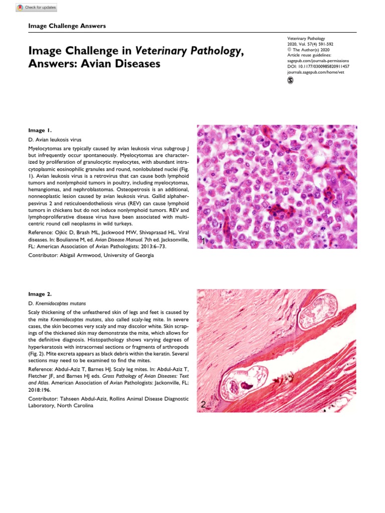 2020 Image Challenge in Veterinary Pathology Answers Avian Diseases Download Free PDF