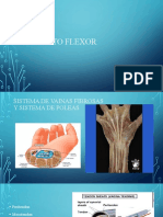 Aparato Flexor