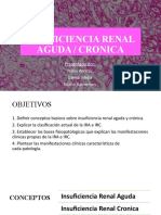 Insuficiencia Renal