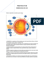 Practica N8 Ojo