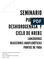 Seminario - PDH. Ciclo de Krebs. Puntos de Fuga. Reacciones Anapleróticas. Lanzaderas - Texto - 2023