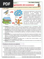 Sesión 21 - Ficha Informativa