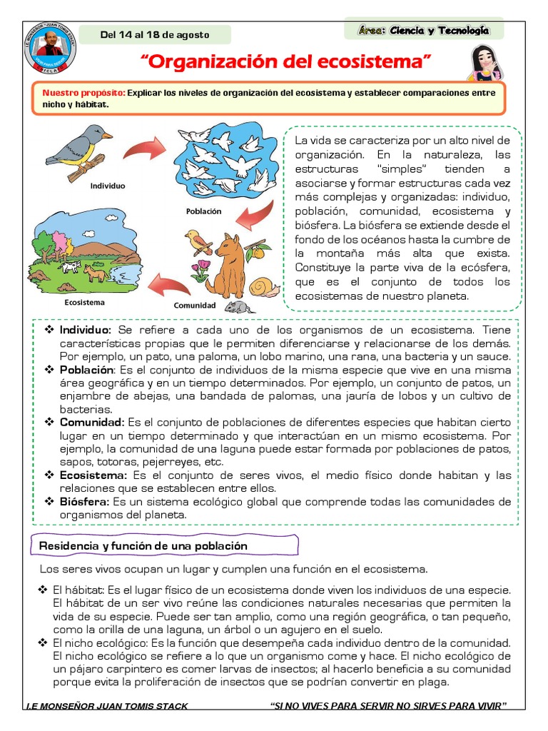 Sesión 21 - Ficha Informativa | PDF | Ecosistema | Organismos