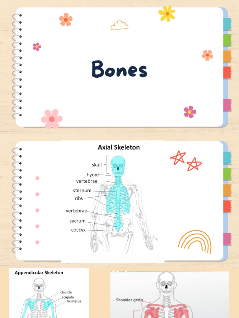 Bones | PDF