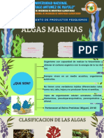 Algas Marinas