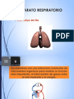 Patologia Respiratorio