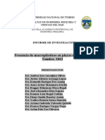 Ar Informe de Investigacion, Grupo 1 Ar