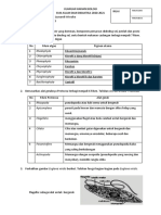 UH BIO PROTISTA 2020-2021 Fatih