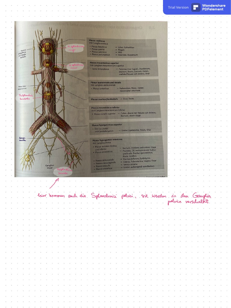 Vegetative Plexus Übersicht PDF