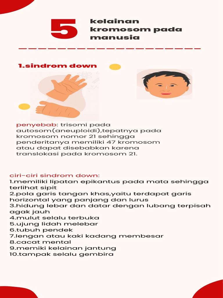 Menggali Kelezatan Nusantara: Daftar Makanan Khas Indonesia yang Wajib Dicoba
