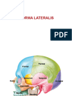 Norma Lateralis