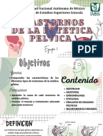 Trastornos de La Estetica Pelvica