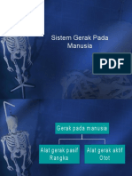 Sistem Gerak Manusia