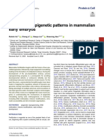 Insights Into Epigenetic Patterns in Mammalian Early Embryos