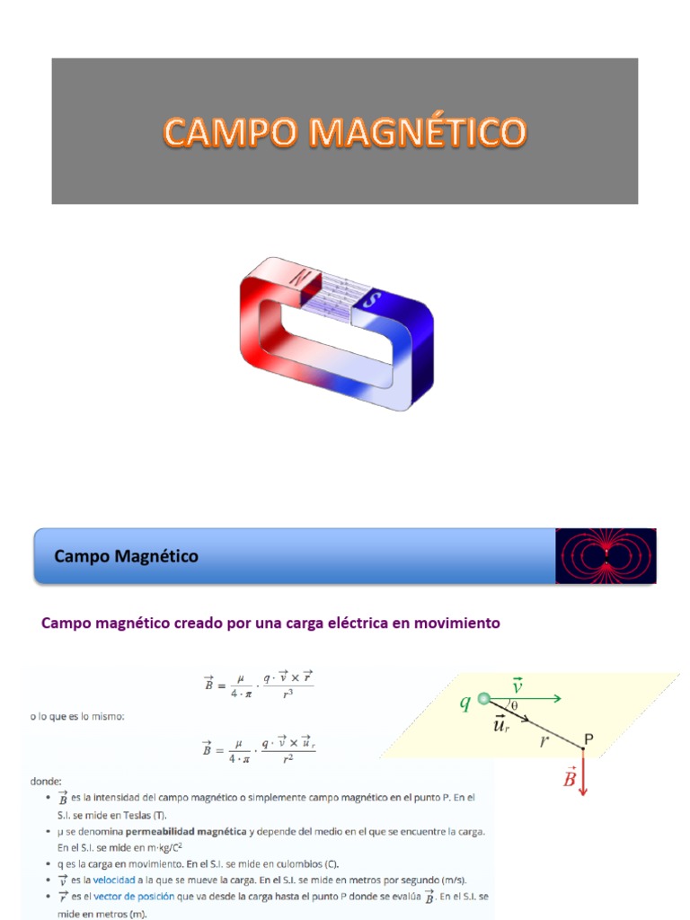 Fuentes de Campo Magnetico y Ley de Ampere | PDF | Campo magnético