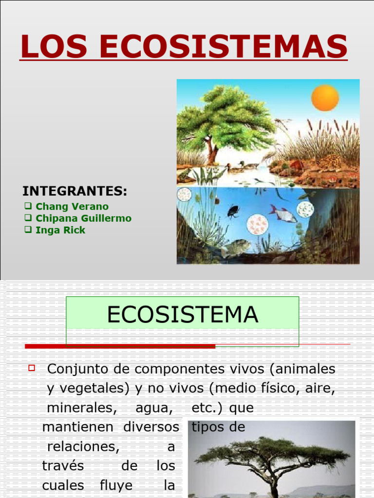 Tipos y Componentes de Ecosistemas | PDF | Ecosistema | Entorno natural