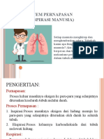 Sistem Pernapasan Manusia