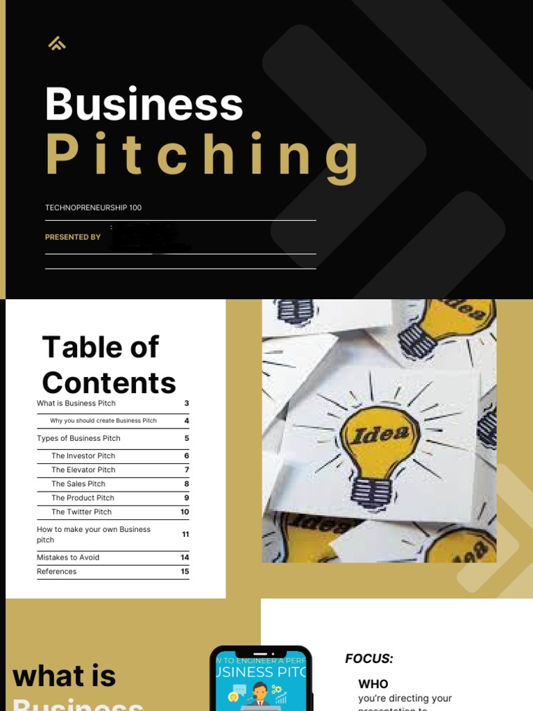 Business Pitching Guide | PDF