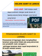 Penanaman KLP Sawit BTP 2022