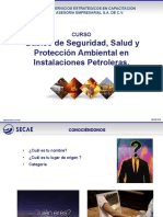 Basico de Seguridad, Salud y Proteccion Ambiental en Instalaciones Petroleras.