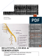 Deep Peroneal Nerve