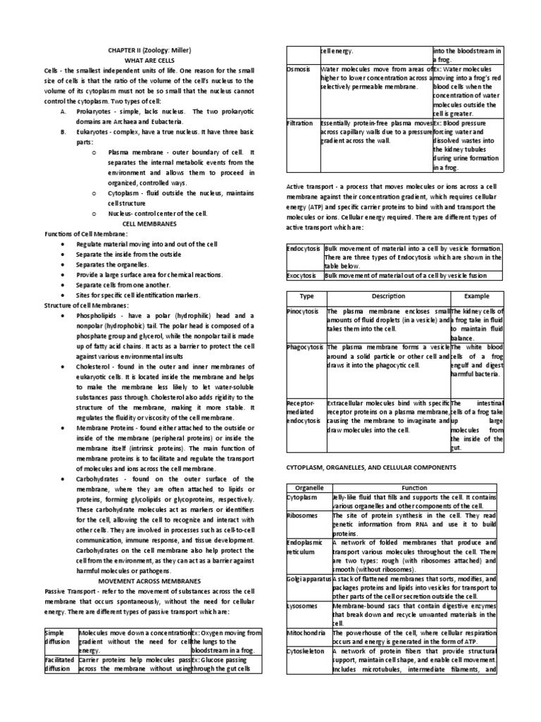 chapter-2-3-zoology-download-free-pdf-meiosis-chromosome