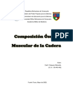 Composición Osea y Muscular de La Cadera. Cadete 1 Manuela Vasquez