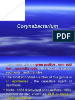 Cory Ne Bacterium