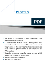 Proteus