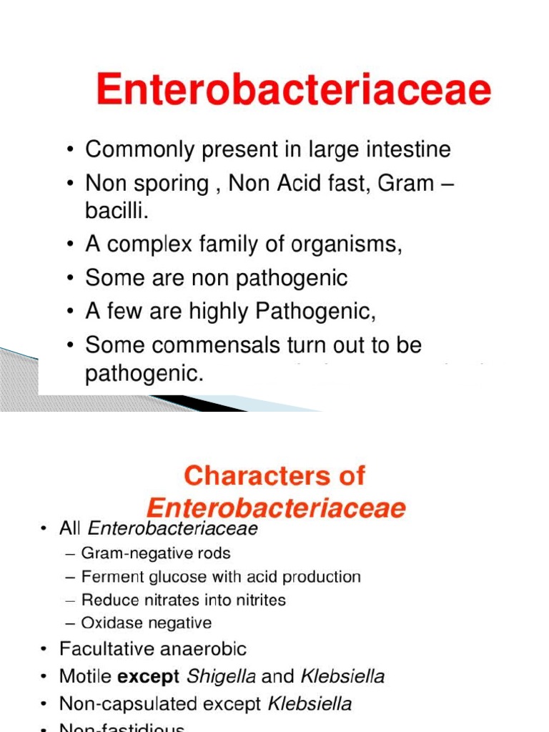 E Coli PDF Escherichia Coli Urinary Tract Infection