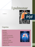 Abcesul Pulmonar