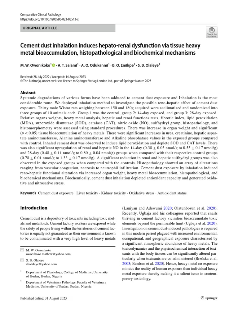 14 Cement Dust Inhalation PDF Chemistry Chemical Substances