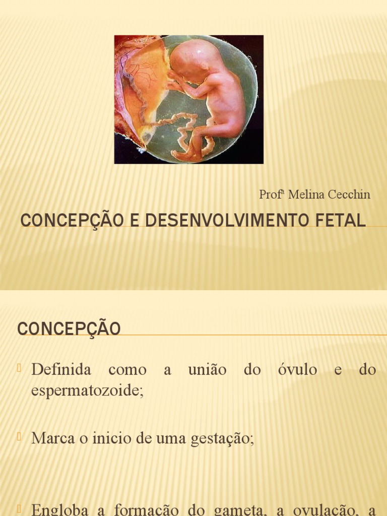 Concepção e Desenvolvimento Fetal | PDF | Gravidez | Fertilização