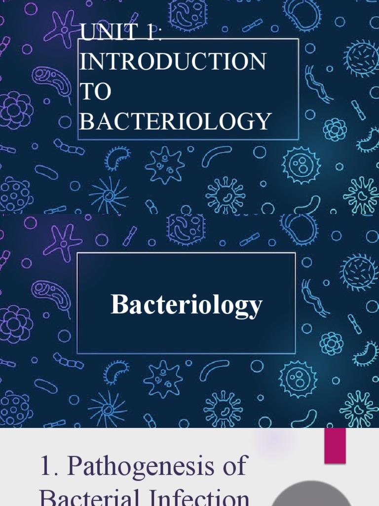 Bacteriology PDF Bacteria Infection