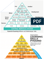 Pyramid of Learning - Eza Nelson
